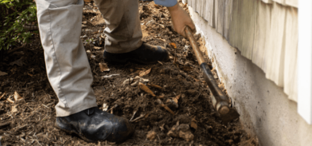 termite trenching sarasota pest control waves png