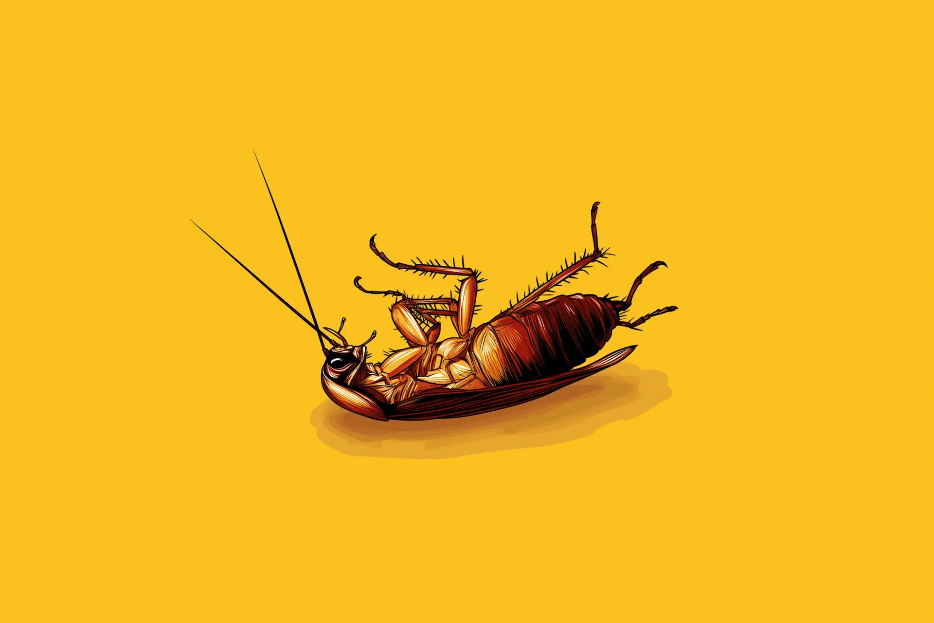 pest control in venice florida